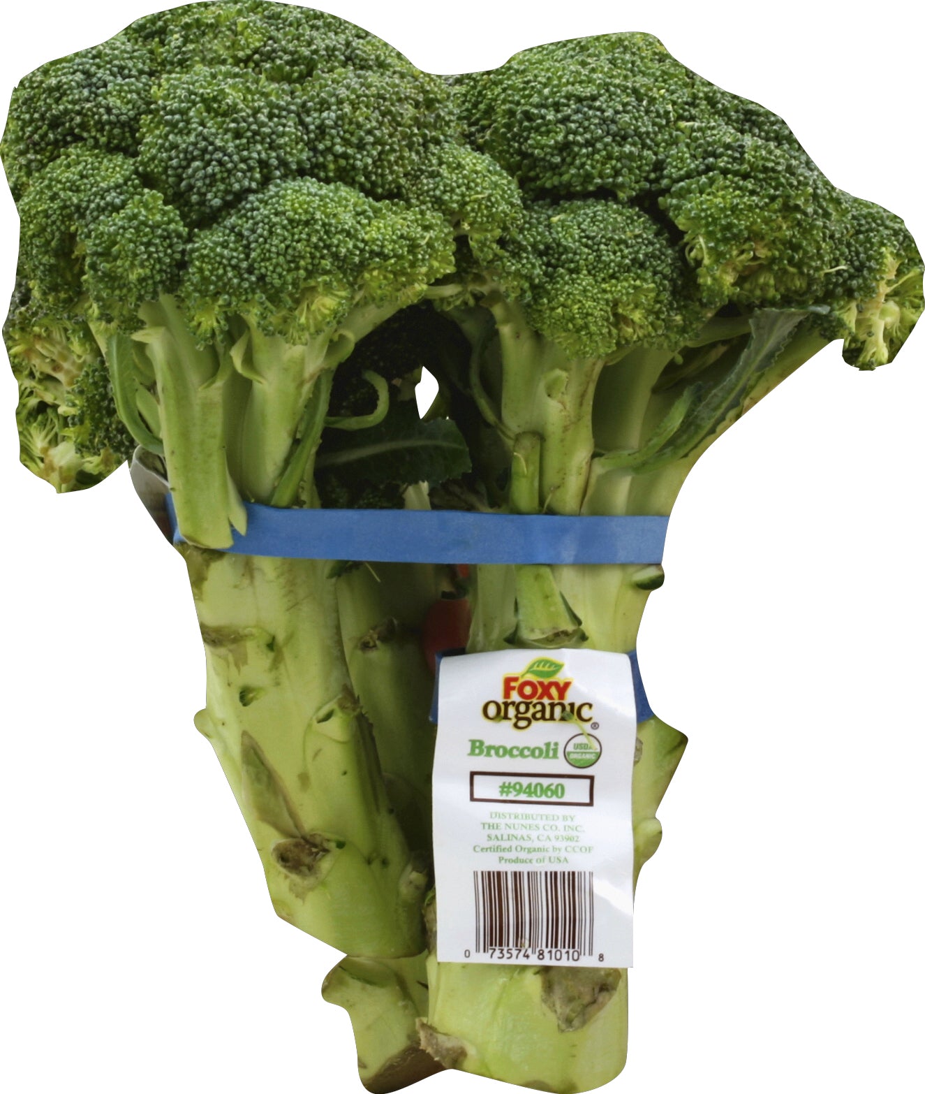 Broccoli – Wholey's Market