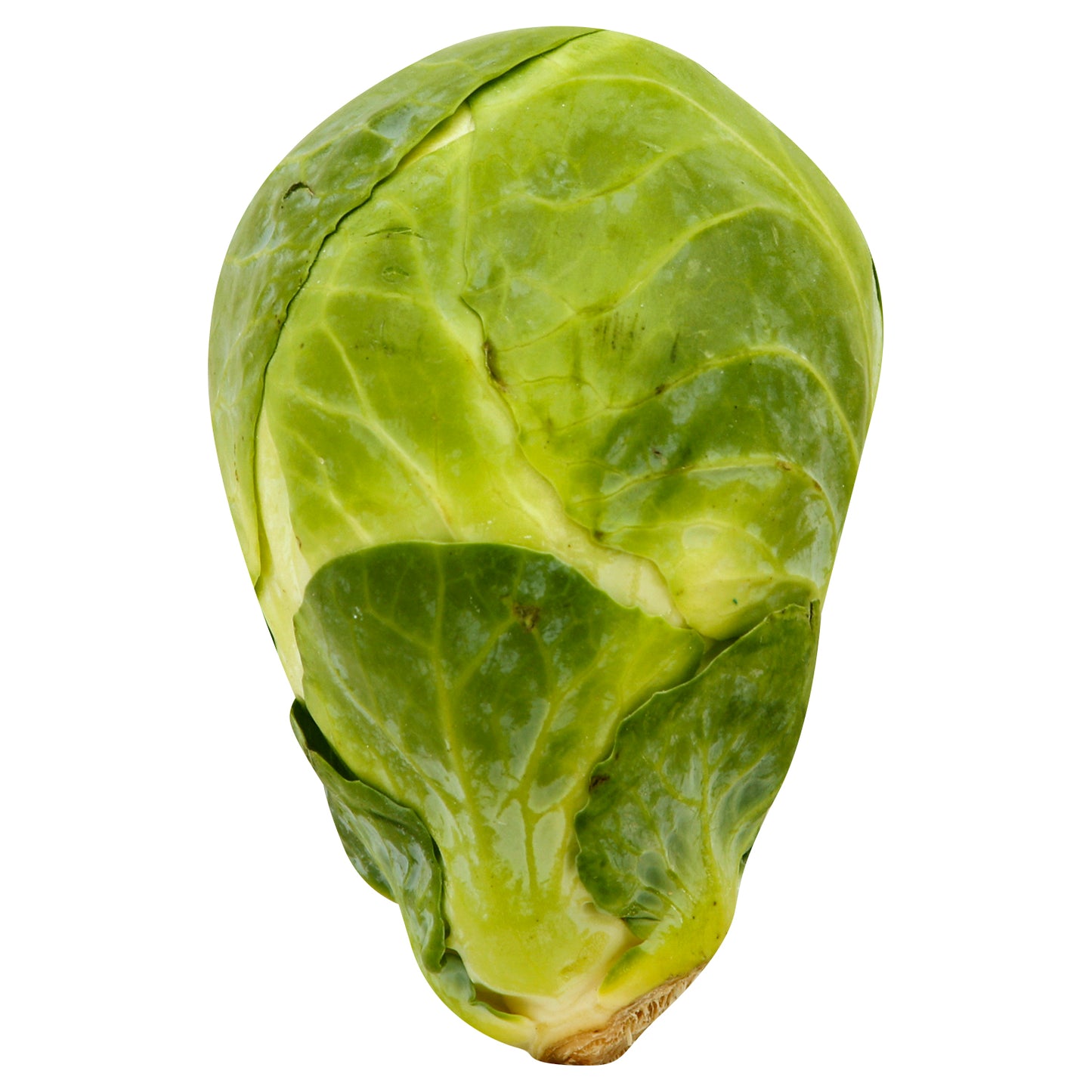 Brussels Sprouts