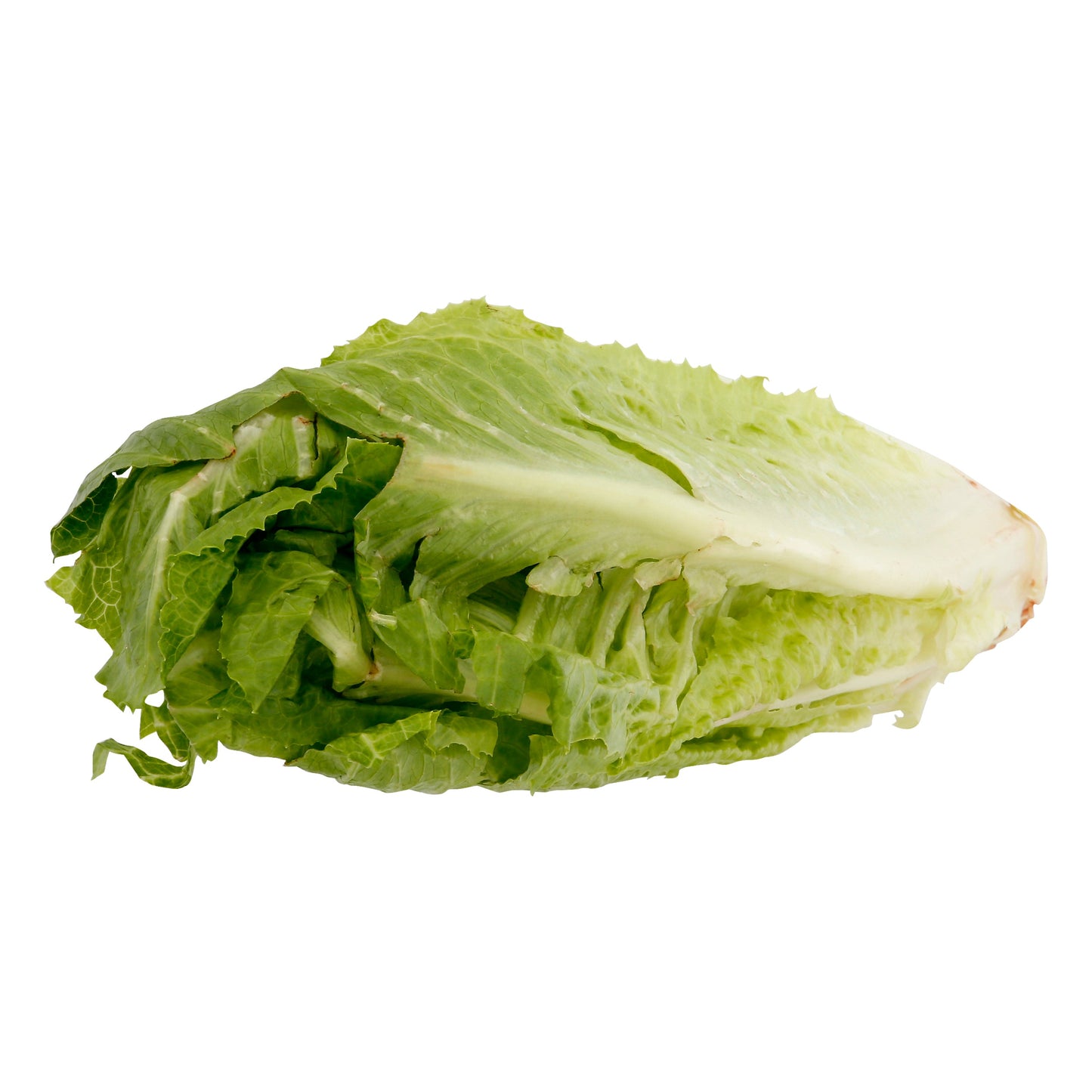 Romaine Hearts