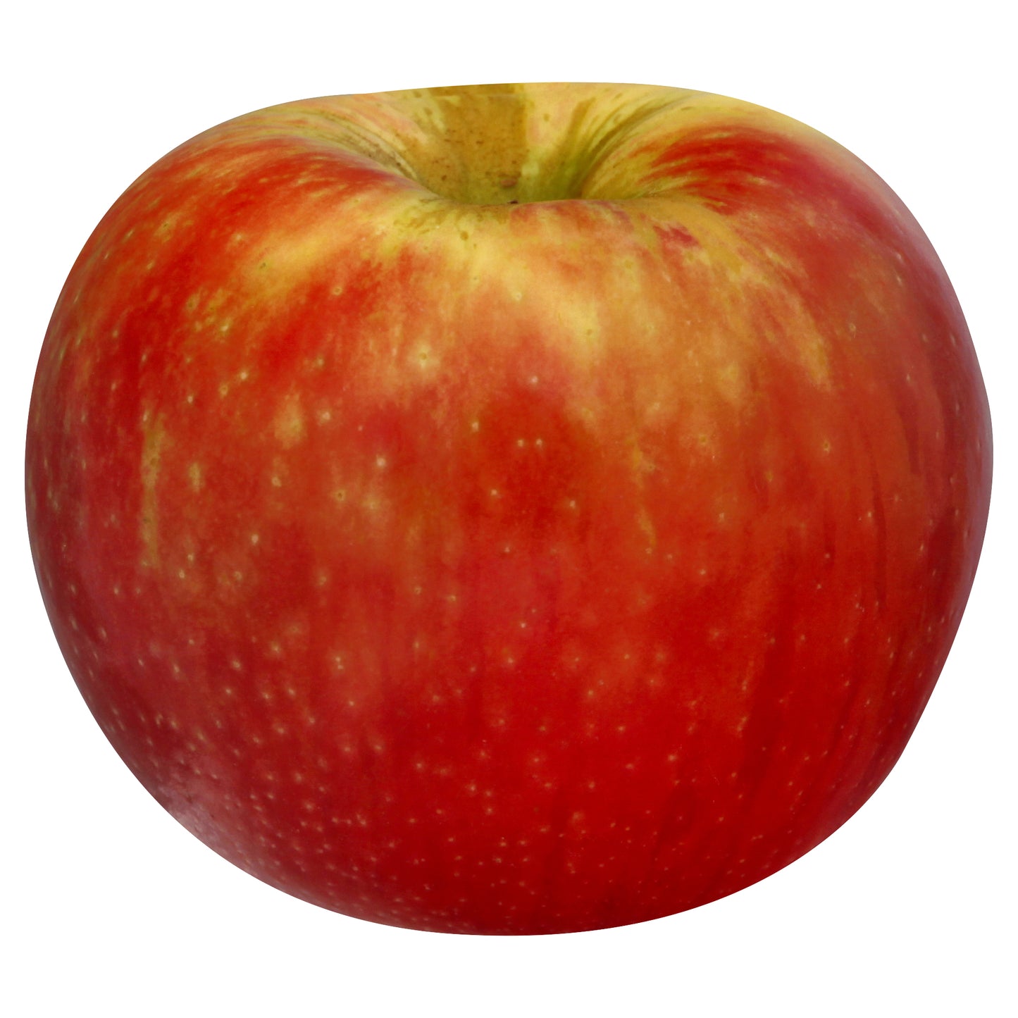 Honeycrisp Apples