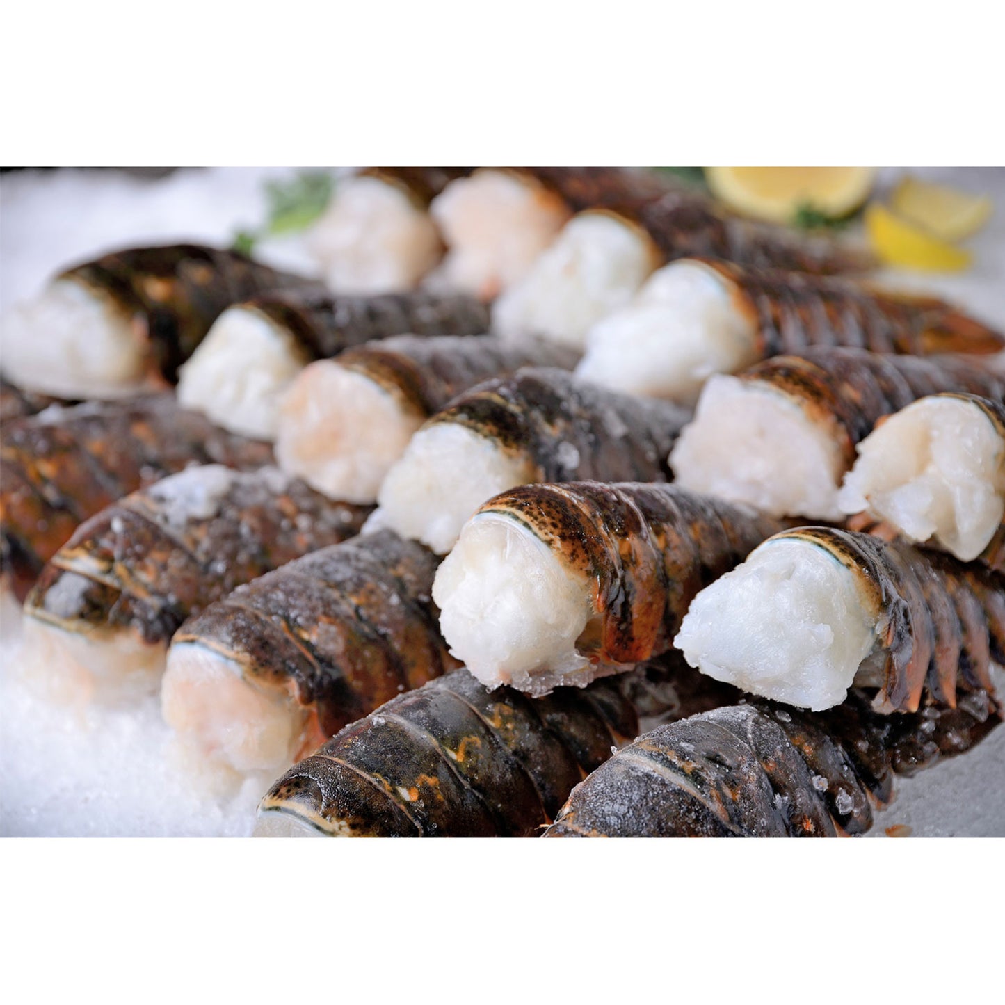 Lobster Tail 12-14 oz