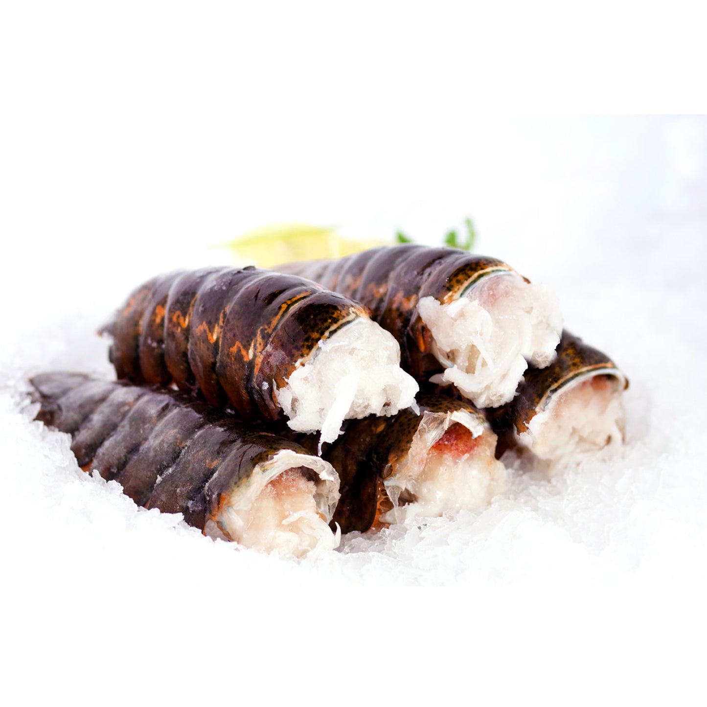 Lobster Tail 8-10 oz