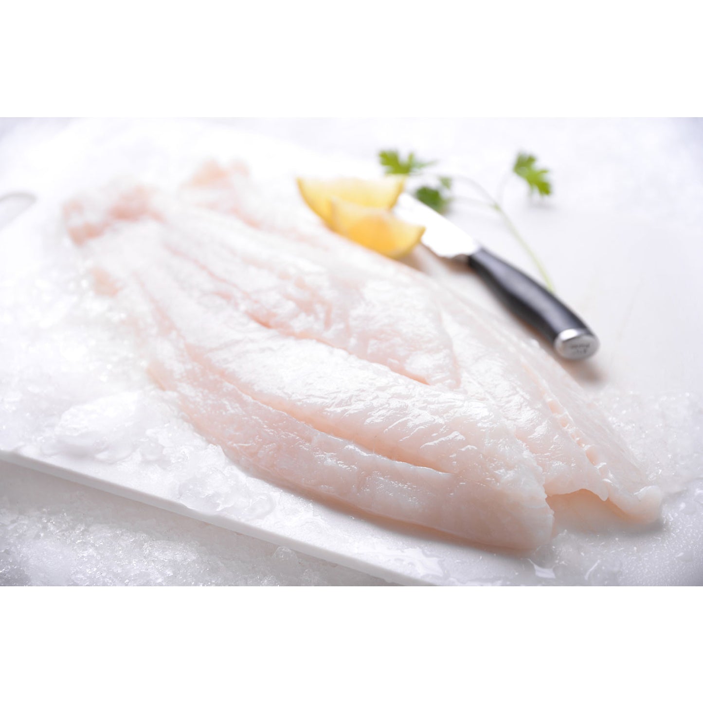 Fresh Lemon Sole Fillets