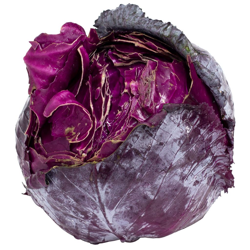 Red Cabbage