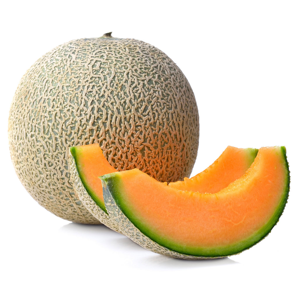 Cantaloupe Melon