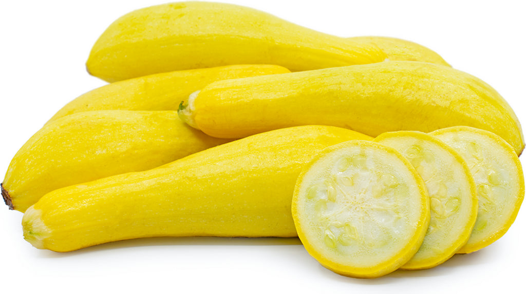 Yellow Squash