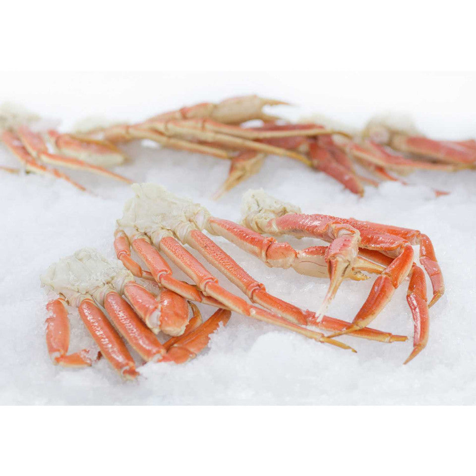Colossal Snow Crab Clusters