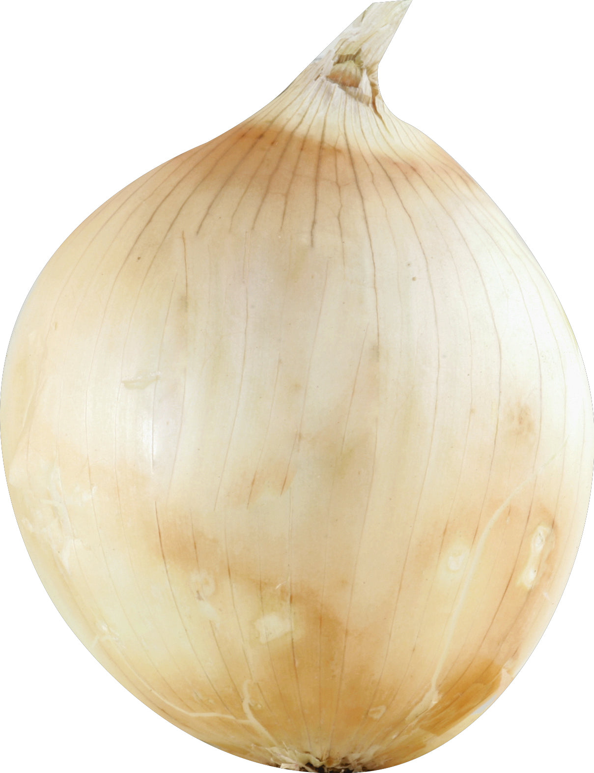 Sweet Onions