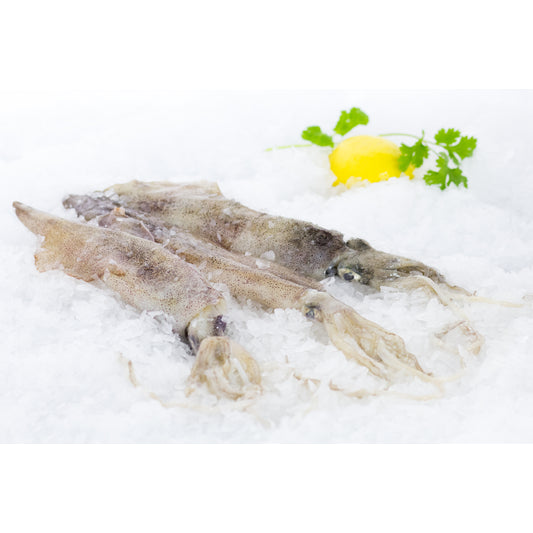 Frozen Whole Squid Uncleaned