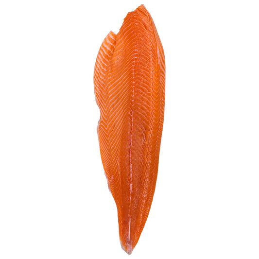 Fresh Scottish Salmon Fillet
