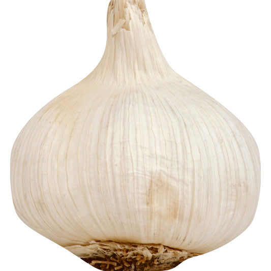 Fresh Garlic