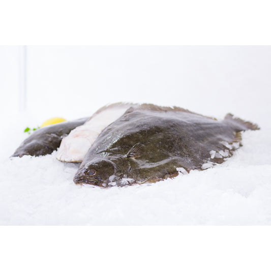 Fresh Flounder Whole