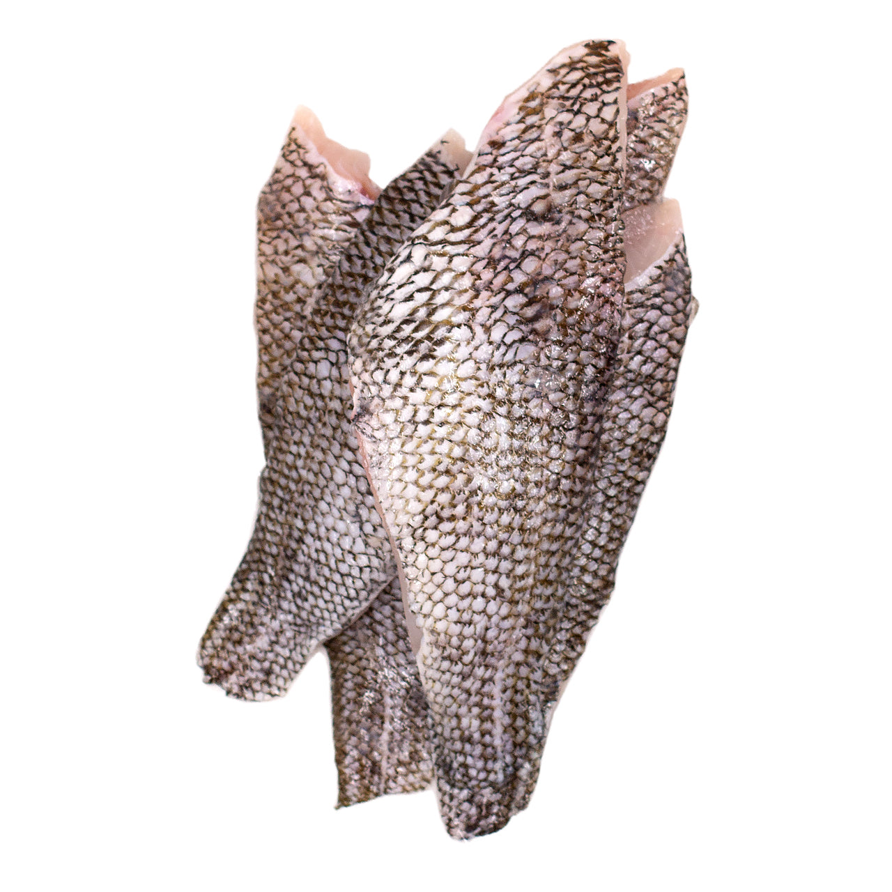 Fresh Black Bass Fillet