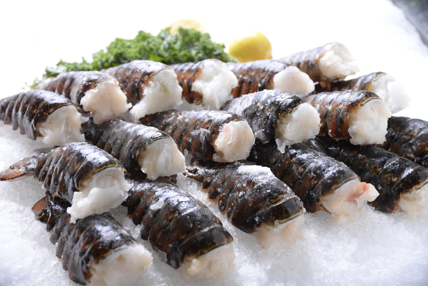 Lobster Tails 4-5 oz