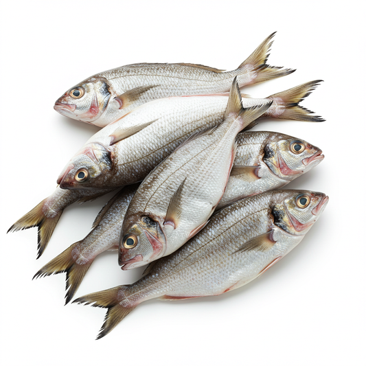 Fresh Porgies Whole