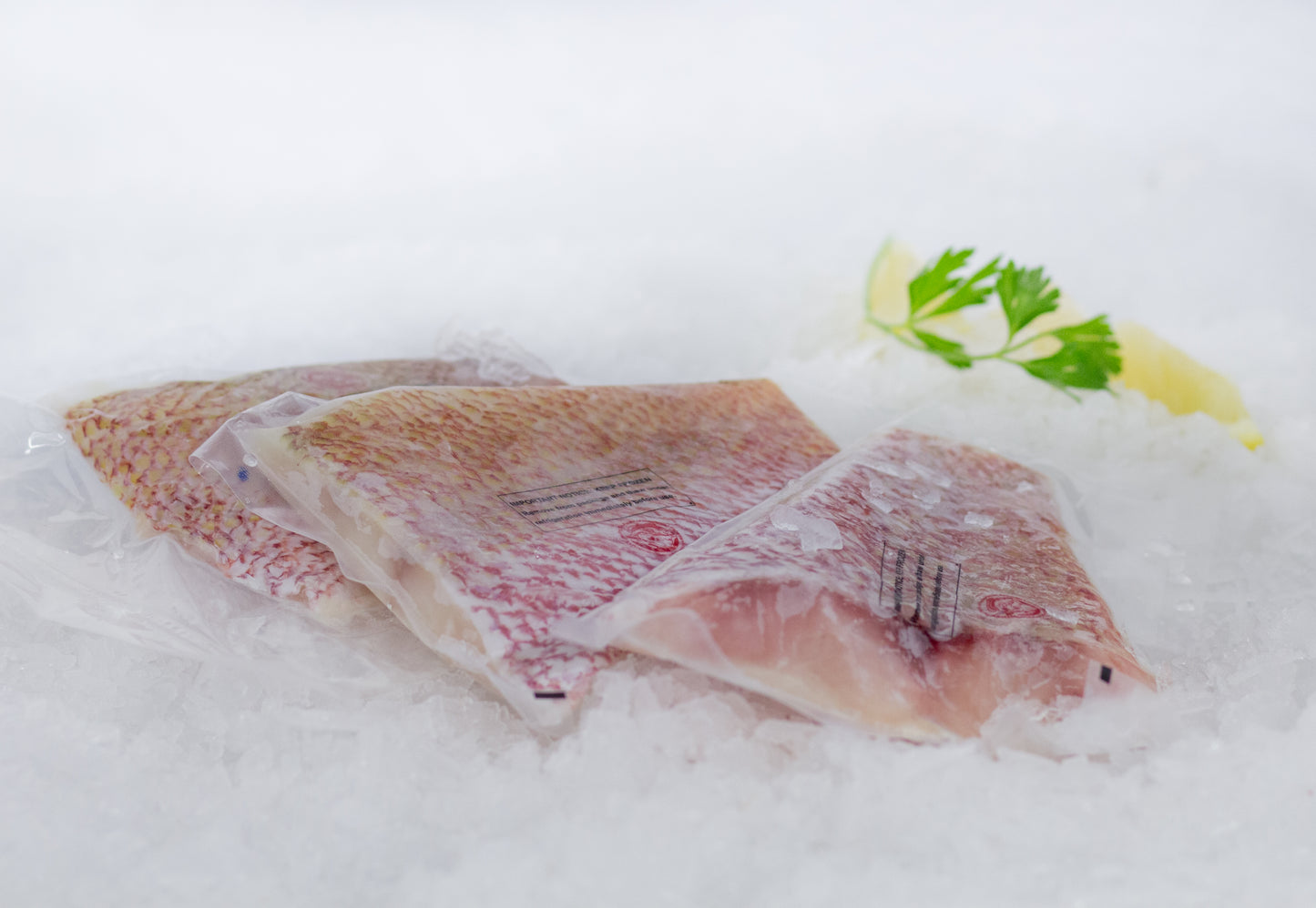 IQF Red Snapper Fillet
