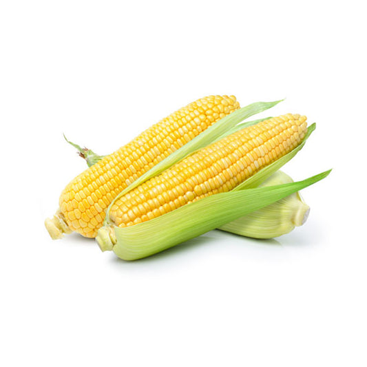 Fresh Bi-Color Corn