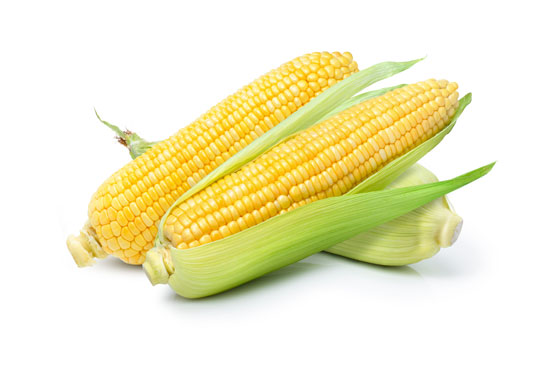 Fresh Bi-Color Corn