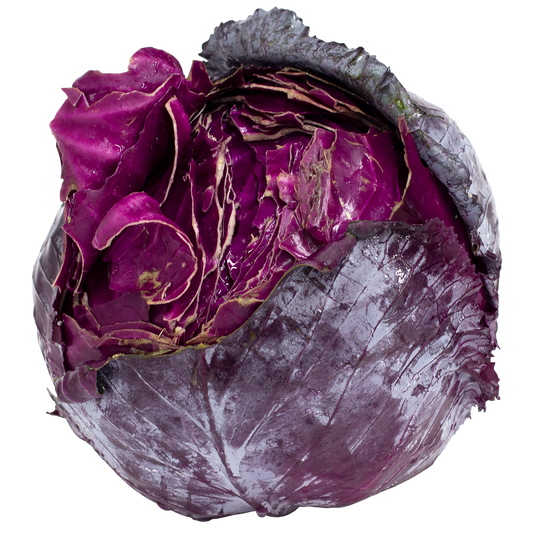 Red Cabbage