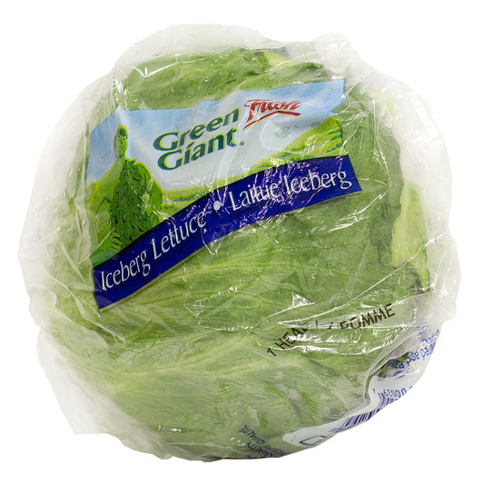 Iceberg Lettuce Head