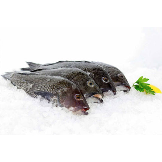 Fresh Black Bass Whole