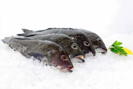 Fresh Black Bass Whole