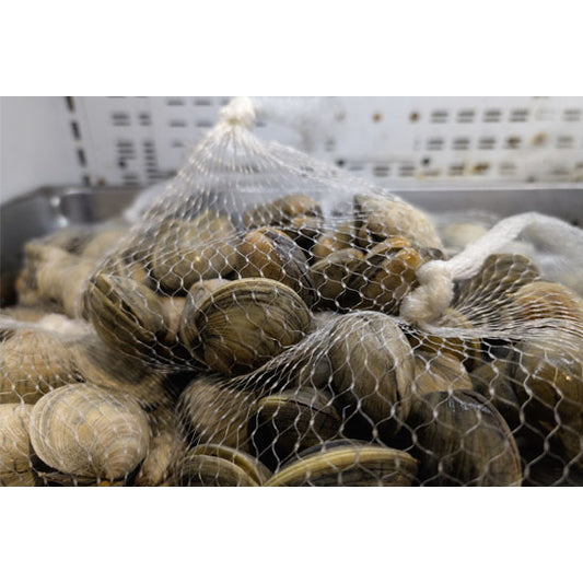 Live Wild-Caught Little Neck Clams