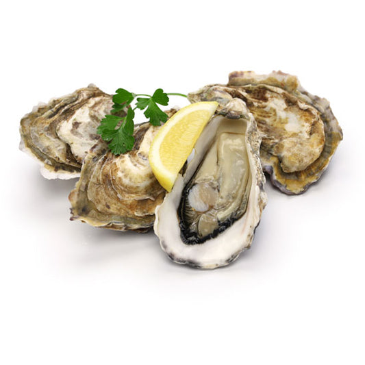 Live Chesapeake Oysters, ea.