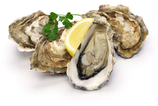 Live Chesapeake Oysters, ea.