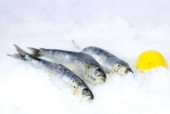 Frozen Sardines (2 lbs. Bag)