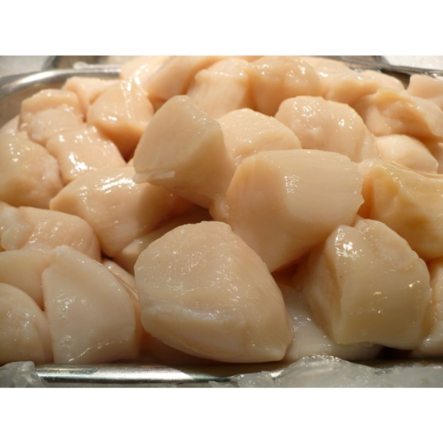 Fresh Sea Scallops, 1/2 lb.