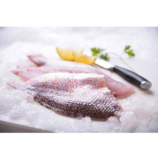 Fresh Red Snapper Fillets