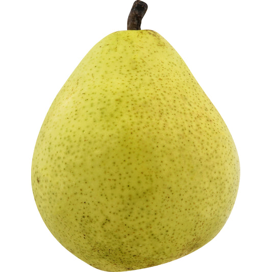 D 'Anjou Pear