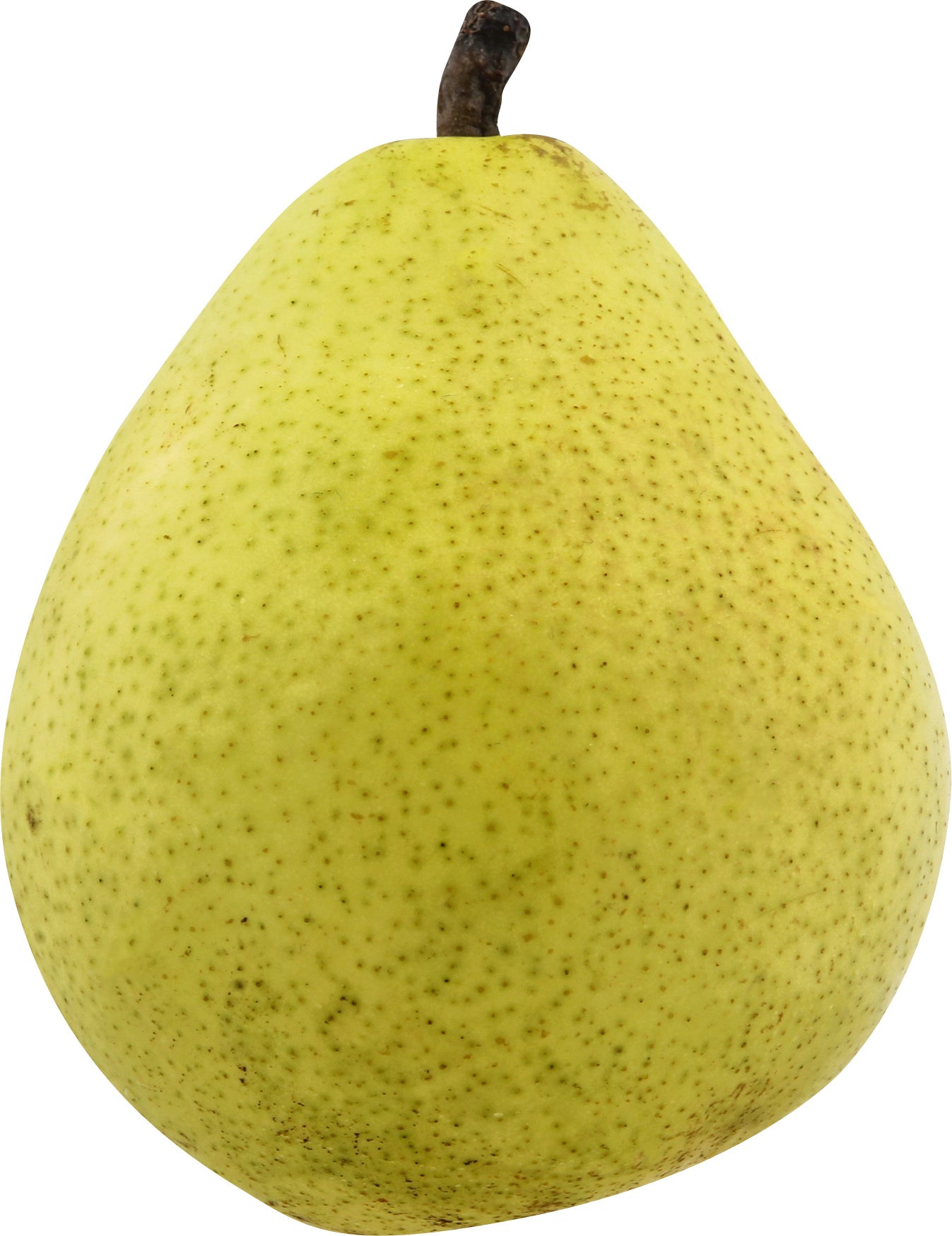 D 'Anjou Pear
